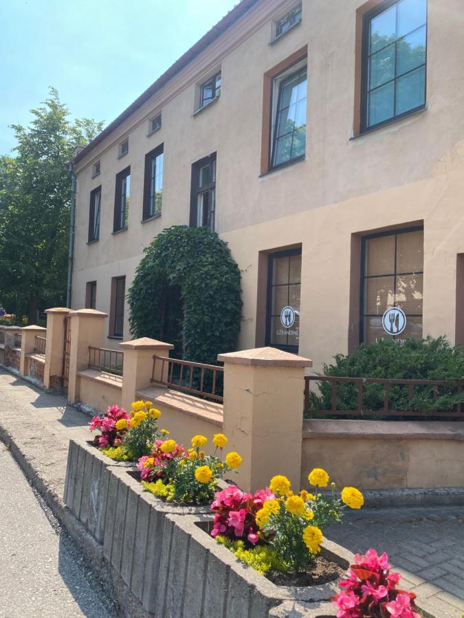 Apartamentai Klaipedos Senamiestyje Klaipėda Buitenkant foto